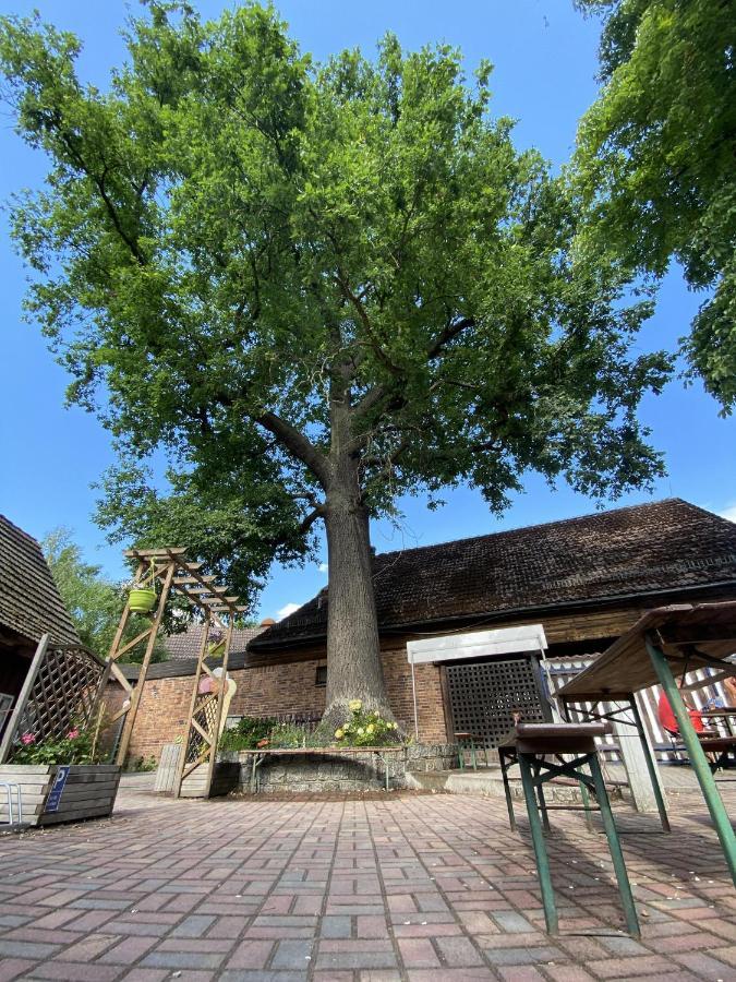 Pension Unter Der 250 Jaehrigen Eiche - Lehde Zentrum Kaupen Exterior photo